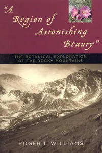 A Region of Astonishing Beauty_cover