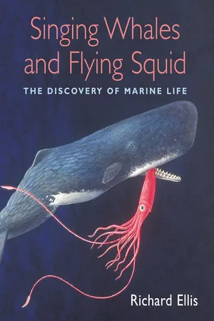 Singing Whales and Flying Squid