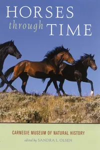 Horses through Time_cover