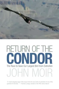 Return of the Condor_cover