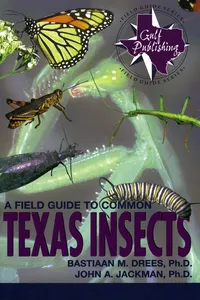 A Field Guide to Common Texas Insects_cover