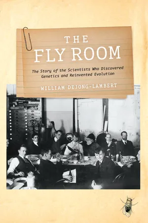 The Fly Room