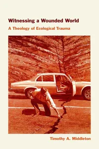 Witnessing a Wounded World_cover