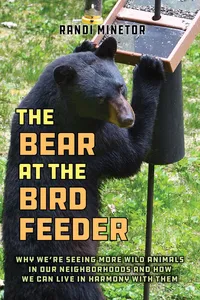 The Bear at the Bird Feeder_cover