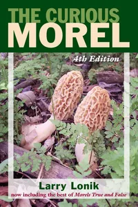 Curious Morel_cover