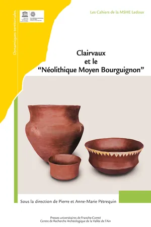 Clairvaux et le « Néolithique Moyen Bourguignon »