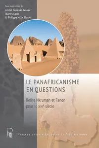 Le panafricanisme en questions