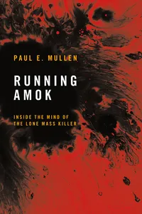 Running Amok_cover