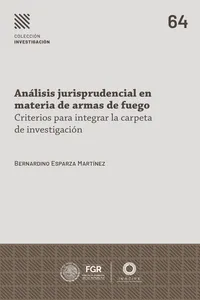 Análisis jurisprudencial en materia de armas de fuego.