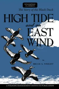 High Tide and an East Wind_cover