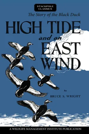 High Tide and an East Wind