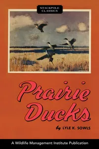 Prairie Ducks_cover