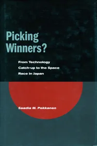 Picking Winners?_cover