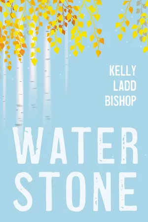 Water Stone