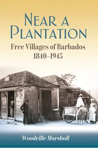 Near a Plantation_cover