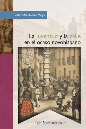 La juventud y la calle en el ocaso novohispano