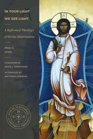 In Your Light We See Light (Studies in Historical and Systematic Theology)