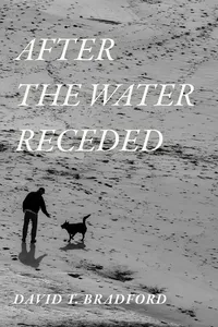 After the Water Receded_cover