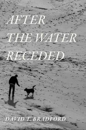 After the Water Receded