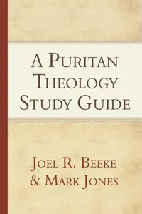 A Puritan Theology_cover