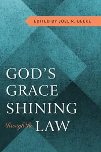 God's Grace Shining through Law_cover