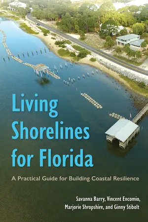 Living Shorelines for Florida