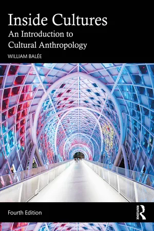 Inside Cultures