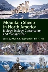 Mountain Sheep in North America_cover