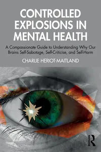 Controlled Explosions in Mental Health_cover