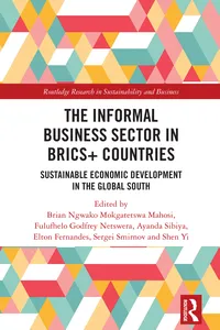 The Informal Business Sector in BRICS+ Countries