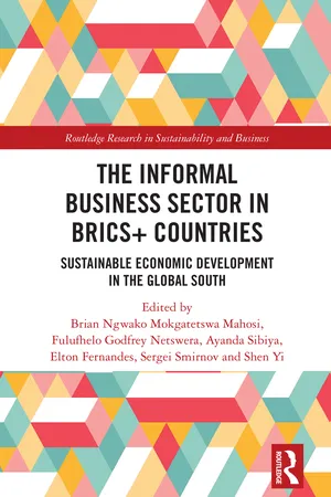 The Informal Business Sector in BRICS+ Countries