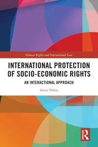 International Protection of Socio-Economic Rights_cover