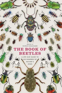 The Book of Beetles_cover