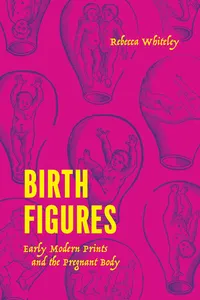 Birth Figures_cover