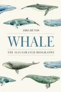 Whale_cover