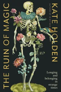 The Ruin of Magic_cover