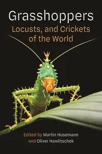 Grasshoppers, Locusts, and Crickets of the World_cover