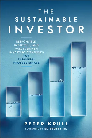 The Sustainable Investor