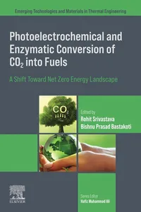 Photoelectrochemical and Enzymatic Conversion of CO2 into Fuels_cover