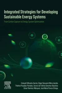 Integrated Strategies for Developing Sustainable Energy Systems_cover