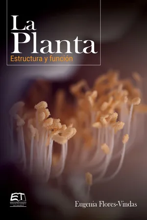 La Planta. Estructura y función