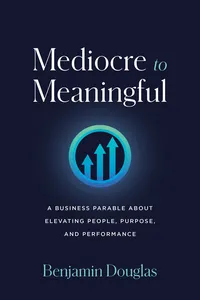 Mediocre to Meaningful_cover
