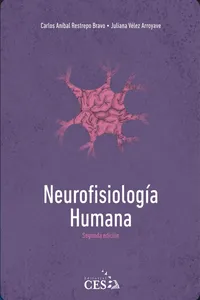 Neurofisiología humana