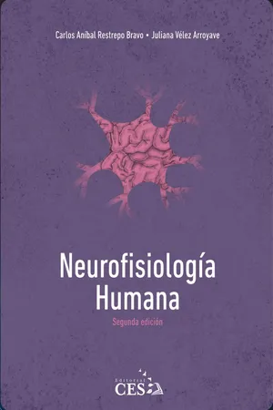 Neurofisiología humana