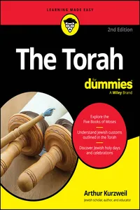 The Torah For Dummies_cover