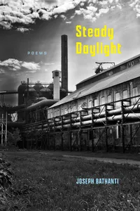 Steady Daylight_cover