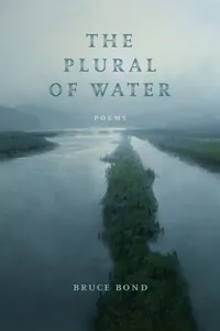 The Plural of Water