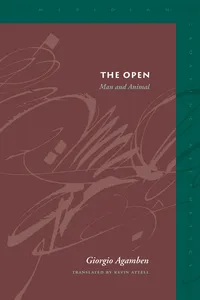 The Open_cover
