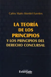 La Teoría de los Principios y los Principios del Derecho Concursal_cover