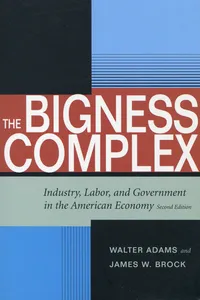 The Bigness Complex_cover